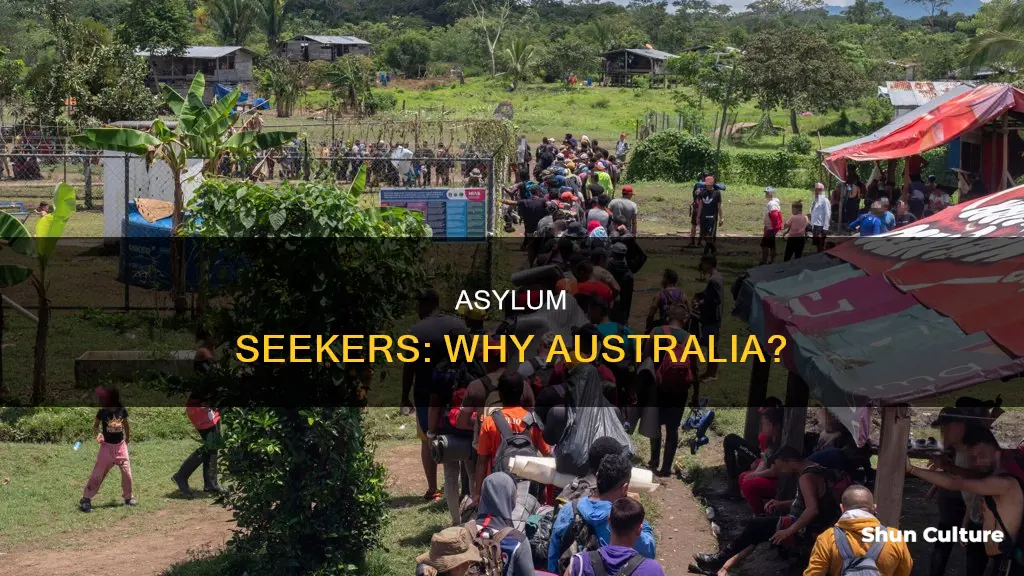 why do people seek asylum in australia