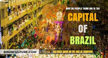 Rio's Capital Myth: Unraveling Brazil's Misunderstood Political Center