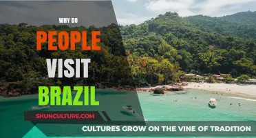 Exploring Brazil's Allure: Vibrant Culture, Stunning Beaches, and Carnival Magic