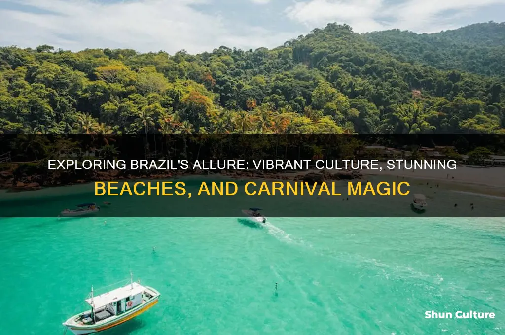 why do people visit brazil