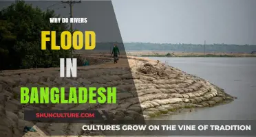 Understanding Bangladesh's Recurring River Floods: Causes and Impacts