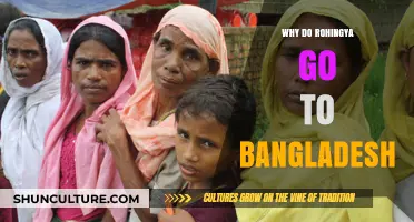 Rohingya Exodus to Bangladesh: Understanding the Desperate Flight for Safety