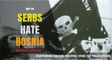 Historical Tensions: Understanding the Complex Relationship Between Serbs and Bosnia