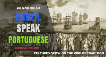 Brazil's Portuguese Legacy: Unraveling the Language's Historical Roots