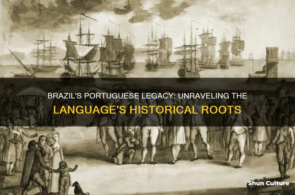 why do the people of brazil speak portuguese