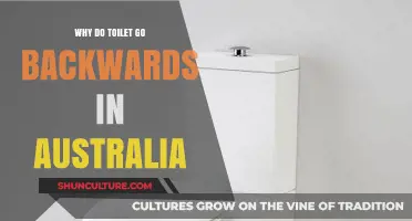 Why Australian Toilets Flush Backwards: Unraveling the Myth and Science