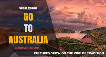 Exploring Australia's Allure: Why Tourists Flock to the Land Down Under