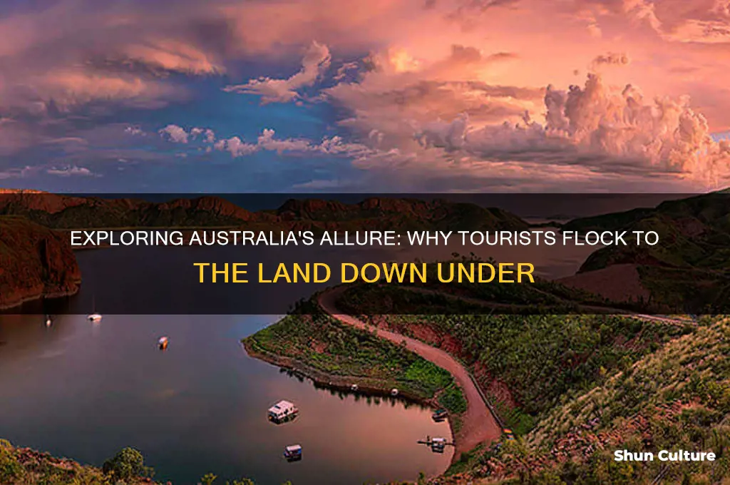 why do tourists go to australia