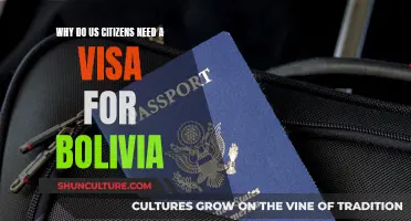 US Citizens: Visa Requirements for Bolivia Explained