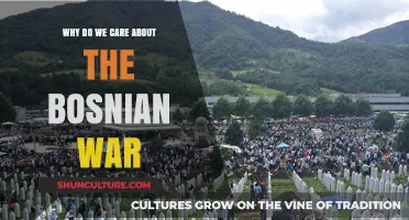 Understanding the Bosnian War: Why Its Legacy Still Matters Today