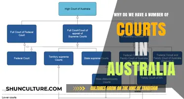Australia's Court System: Why So Many Courts?