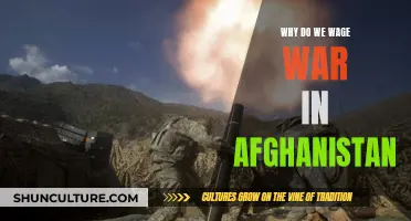 The Ever-Present War in Afghanistan: Understanding America's Longest Conflict