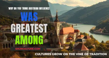 Austria's Influence: Why It Spread So Far