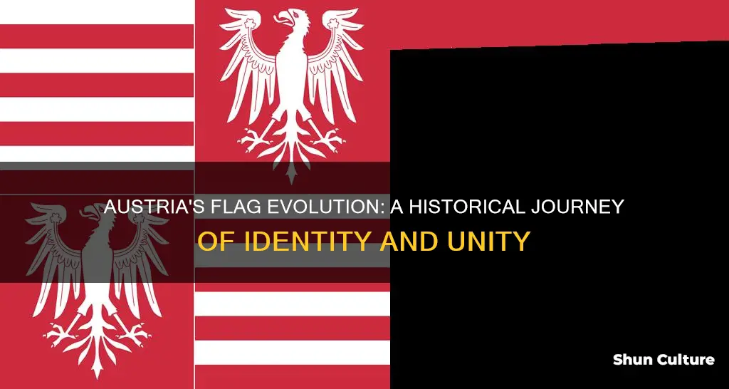 why dod austria hujgary change its flag