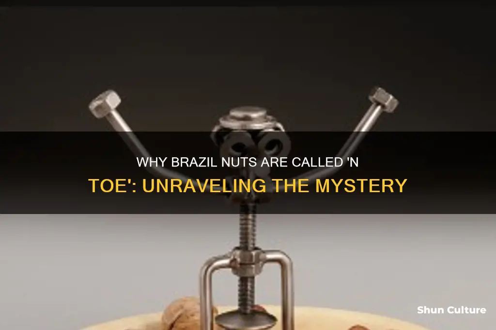 why does a brazil nut called in n toe
