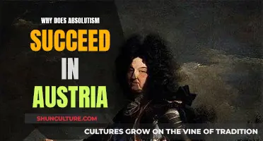 The Rise of Absolutism: Austria's Political Evolution