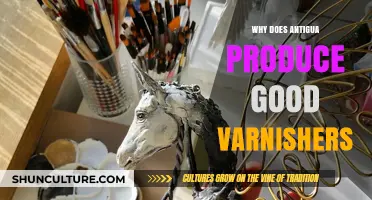 Antigua's Varnishing Legacy: Craftsmanship, Culture, and Quality Explained