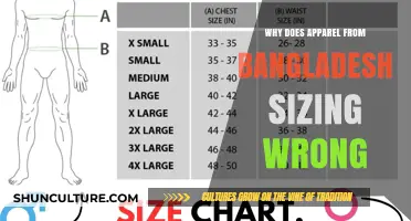 Why Bangladesh-Made Apparel Often Fits Poorly: Sizing Issues Explained