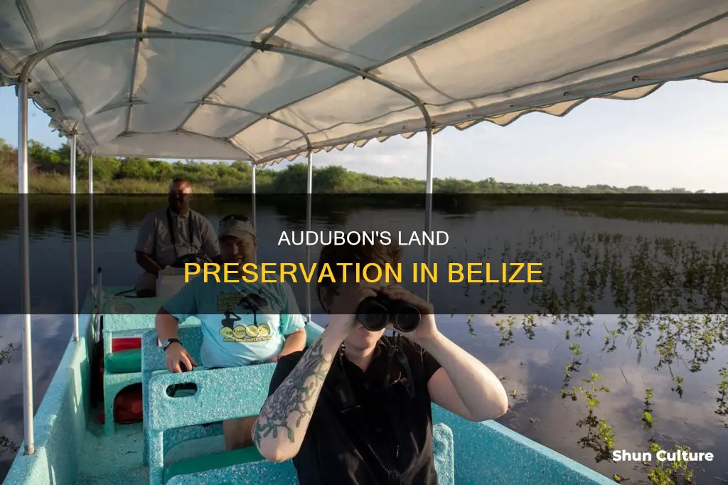 why does audobon preserve land in belize