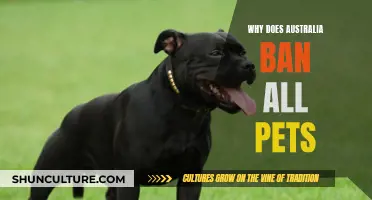 Australia's Radical Pet Ban: Why Such Strict Laws?