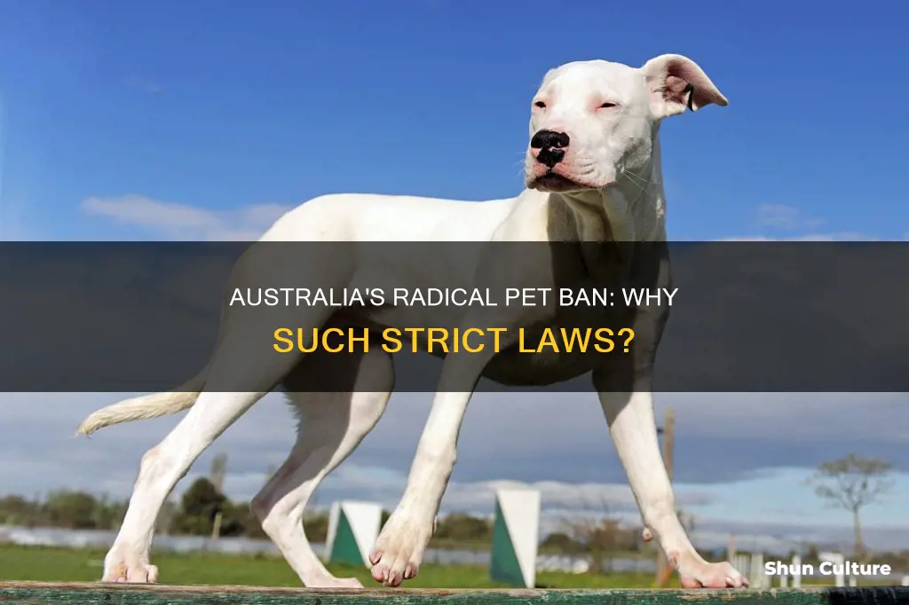 why does australia ban all pets