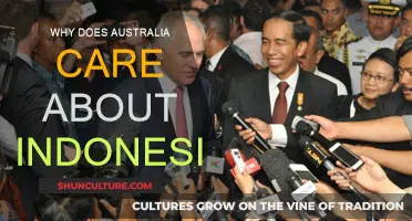Australia-Indonesia Relations: Why the Interest?
