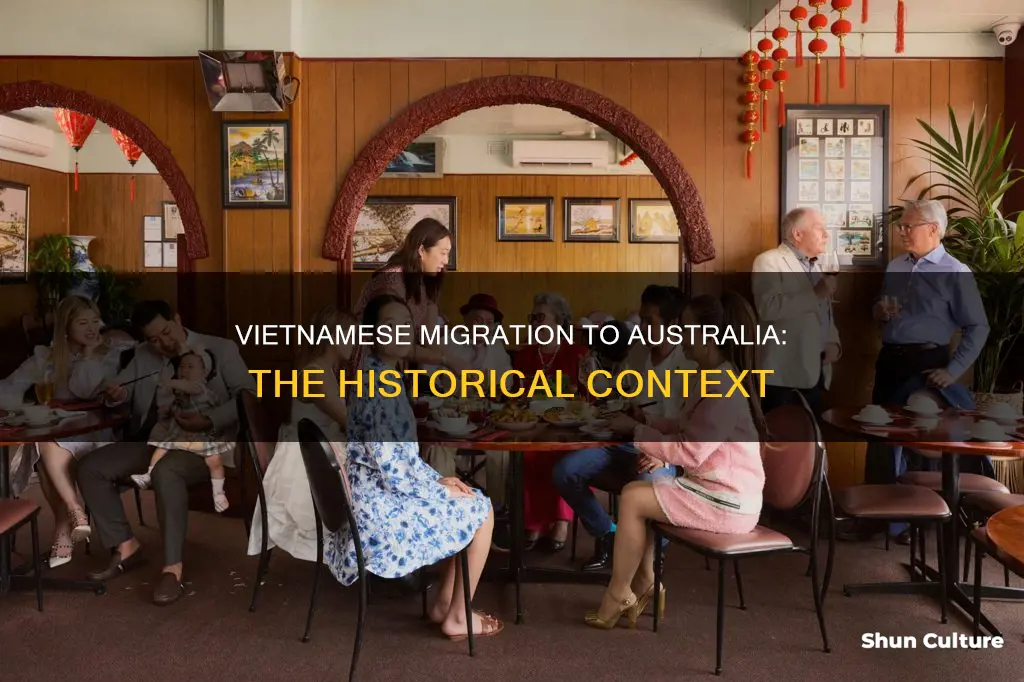 why does australia have lot of vietnamese people