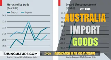 Australia's Imports: Filling the Gaps in the Market