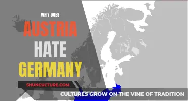 Austria vs Germany: Historical Hatred Explained