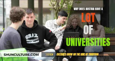 Austria's University Advantage: A Country of Academic Opportunities