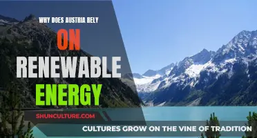 Austria's Commitment to Renewable Energy: Why and How?