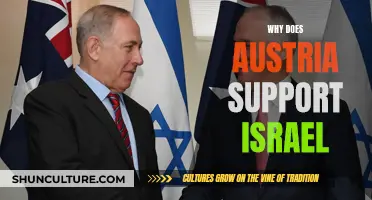 Austria-Israel: A Strong Bond of Support