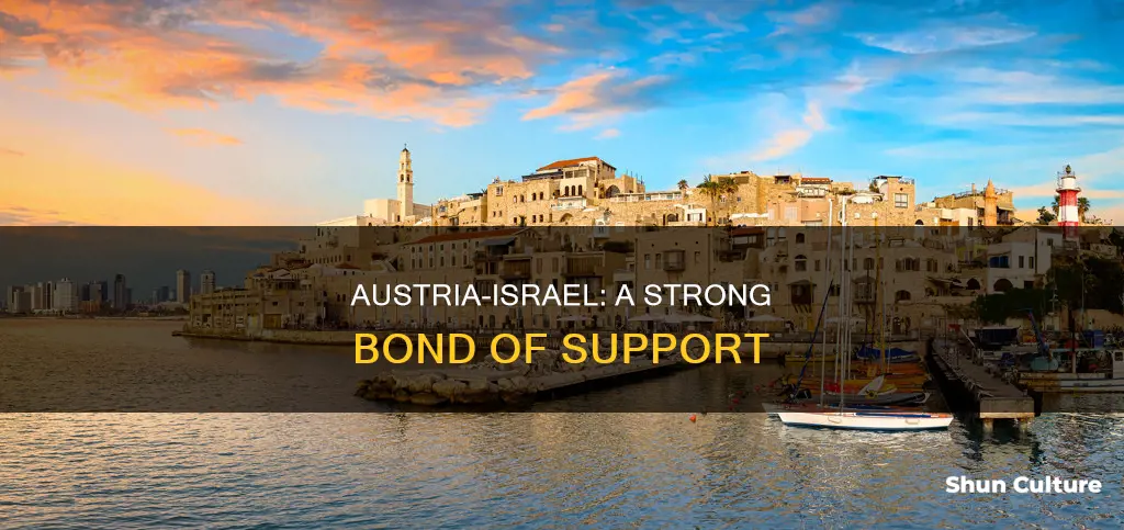 why does austria support israel