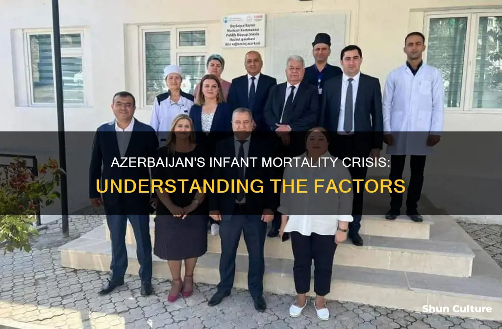 why does azerbaijan have a high infant mortality