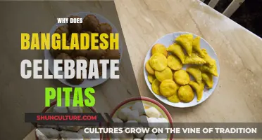 Celebrating Pitas in Bangladesh: Uniting Families and Honoring Ancestors