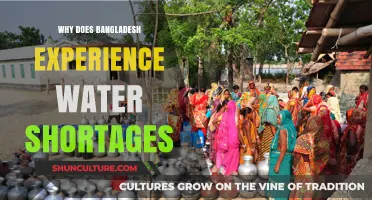 Bangladesh's Water Crisis: Causes and Consequences of Persistent Shortages