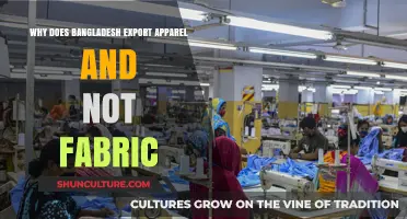 Why Bangladesh Exports Apparel, Not Fabric: Unraveling the Trade Dynamics