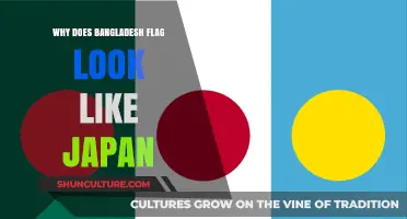 Bangladesh and Japan Flags: Striking Similarities Explained