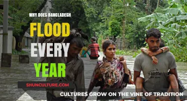 Annual Bangladesh Floods: Causes, Impacts, and Recurring Challenges Explained