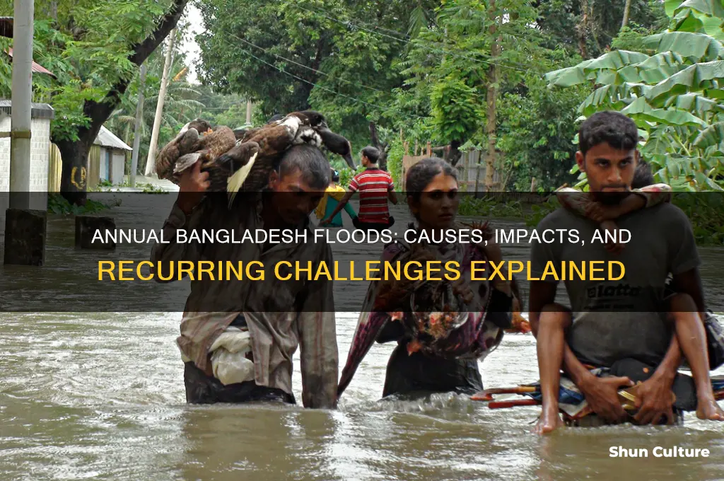 why does bangladesh flood every year