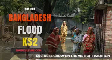Why Bangladesh Floods: Causes and Impacts Explained for KS2 Students