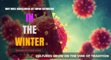 Winter Nipah Outbreaks in Bangladesh: Causes and Concerns