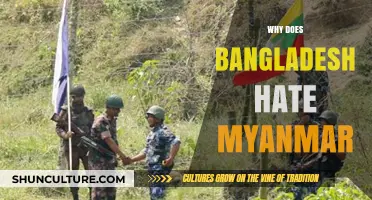 Bangladesh-Myanmar Tensions: Unraveling Historical Grievances and Border Disputes
