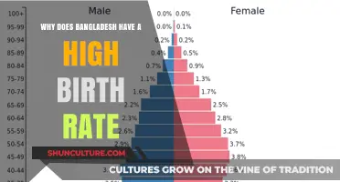 Exploring Bangladesh's High Birth Rate: Cultural, Economic, and Social Factors