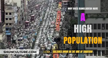 Exploring Bangladesh's Population Boom: Factors Driving High Density and Growth