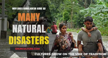 Bangladesh's Vulnerability: Unraveling the Causes of Frequent Natural Disasters
