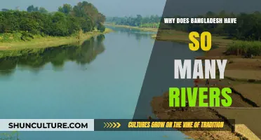 Bangladesh's River Richness: Exploring the Abundance of Waterways