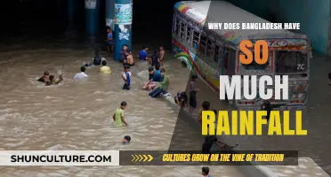 Bangladesh's Monsoon Mystery: Unraveling the Secrets of Its Heavy Rainfall
