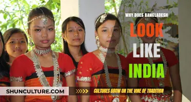 Cultural and Historical Ties: Why Bangladesh Resembles India in Many Ways