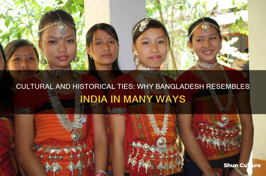 why does bangladesh look like india